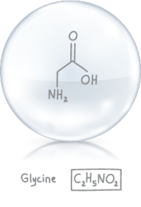 Glycine