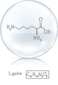 Lysine